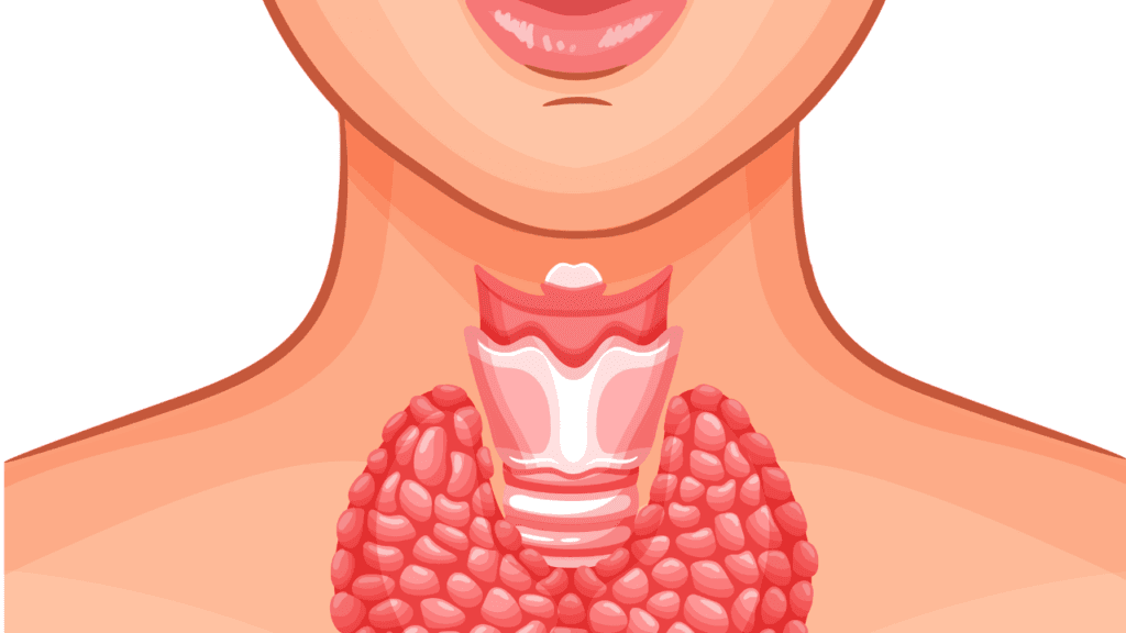 থাইরয়েড এর হোমিওপ্যাথি চিকিৎসা