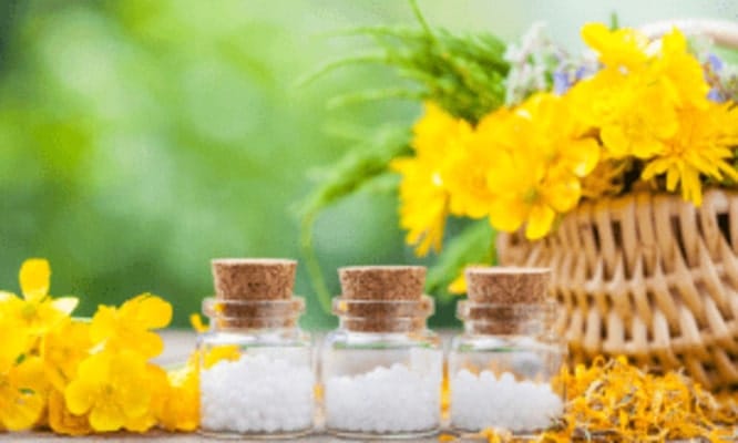 হোমিওপ্যাথি ঔষধ আর্ণিকা নির্বাচন কৌশল