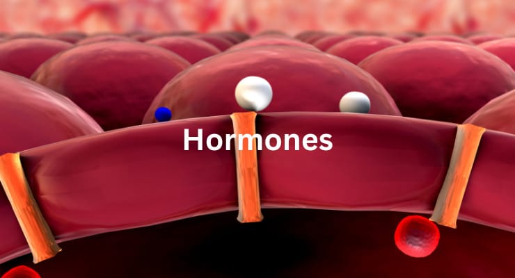 হরমোন চিকিৎসায় হোমিওপ্যাথি