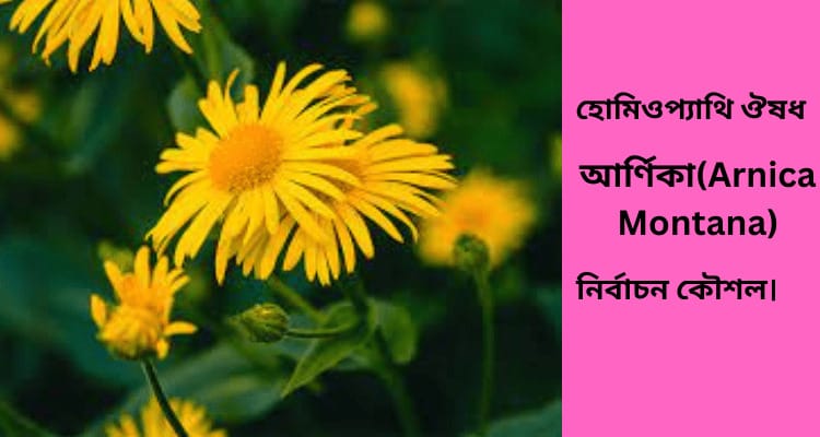 হোমিওপ্যাথি ঔষধ আর্ণিকা নির্বাচন কৌশল