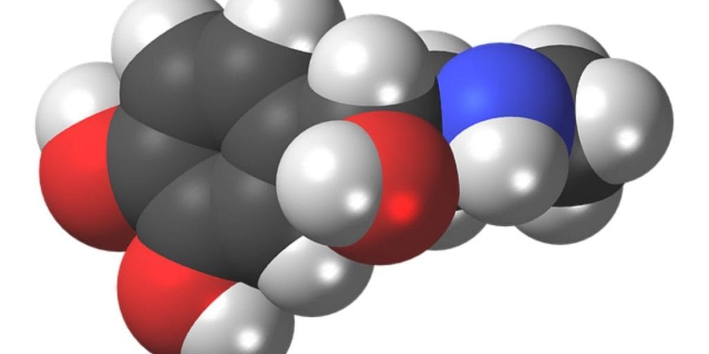 পুরুষের শক্তি বৃদ্ধিতে হোমিওপ্যাথি: টেস্টোস্টেরন হরমোন বাড়ানোর প্রাকৃতিক উপায়