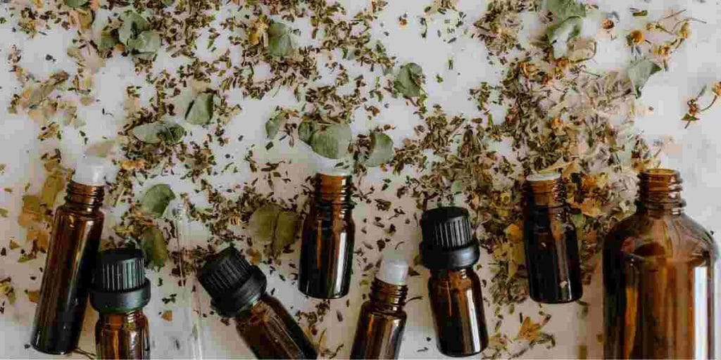 Homeopathic Medicine List in Bengali B Letter 2