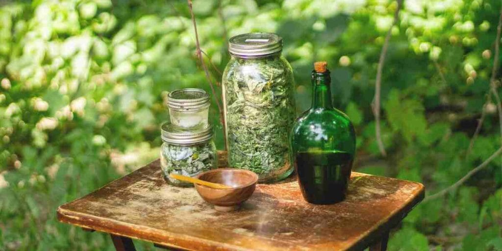 Homeopathic Medicine List in Bengali B Letter