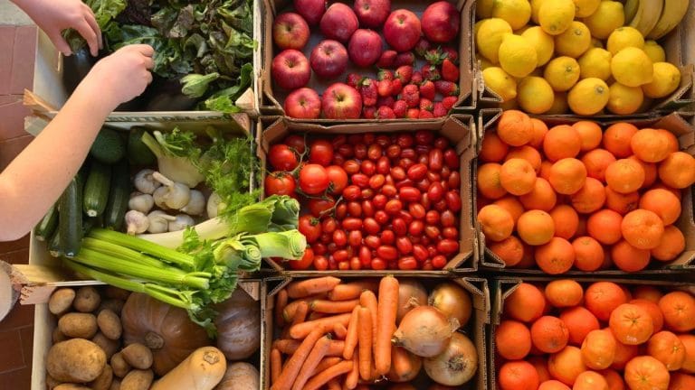 Healthy diet for lung health with fresh fruits, vegetables, salmon, leafy greens, tomatoes, blueberries, and green tea.